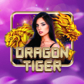 Dragon Tiger on zx777